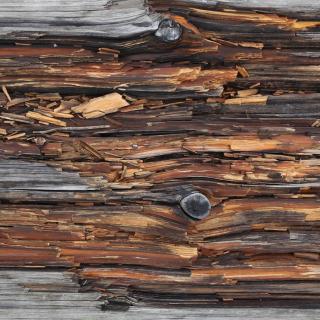 Photo Textures of Wood